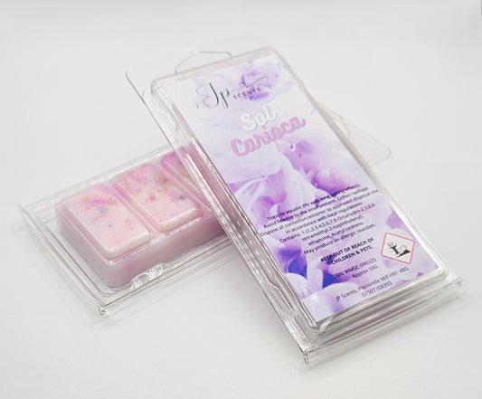 Sol Carioca Wax Melt 50g Snap Bar